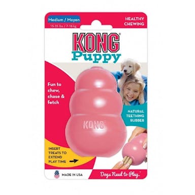 Kong Wobbler Small - Dog-Toys-Chew : Pet Shop Auckland –  - Kong