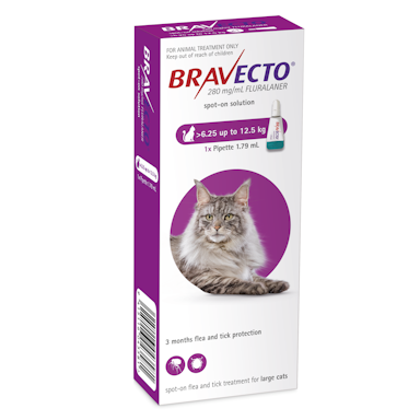 Bravecto® Spot-On solution for cats